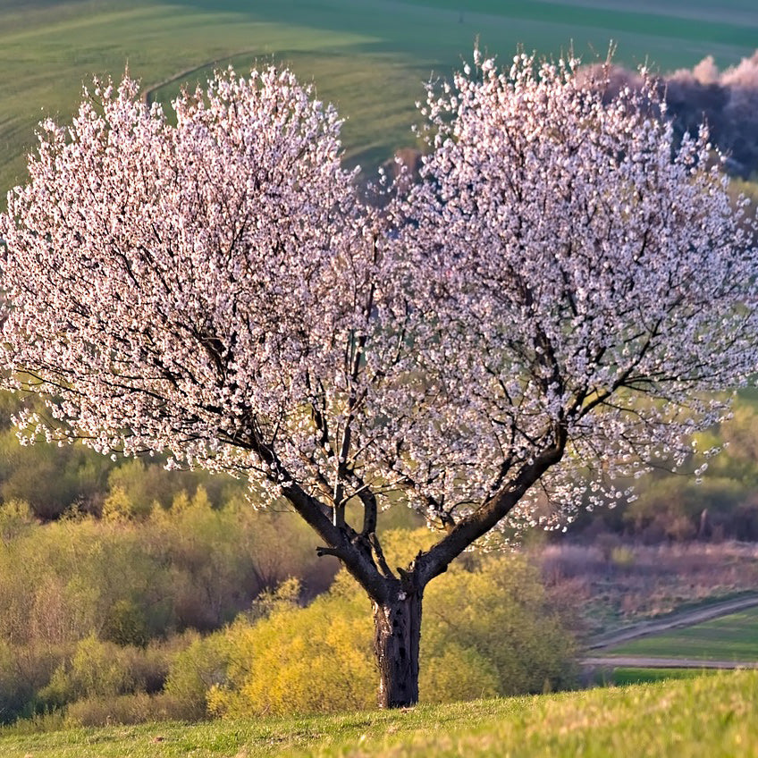 RECEIVING GRACE – SPIRITUAL GROWTH WORKSHOP 2